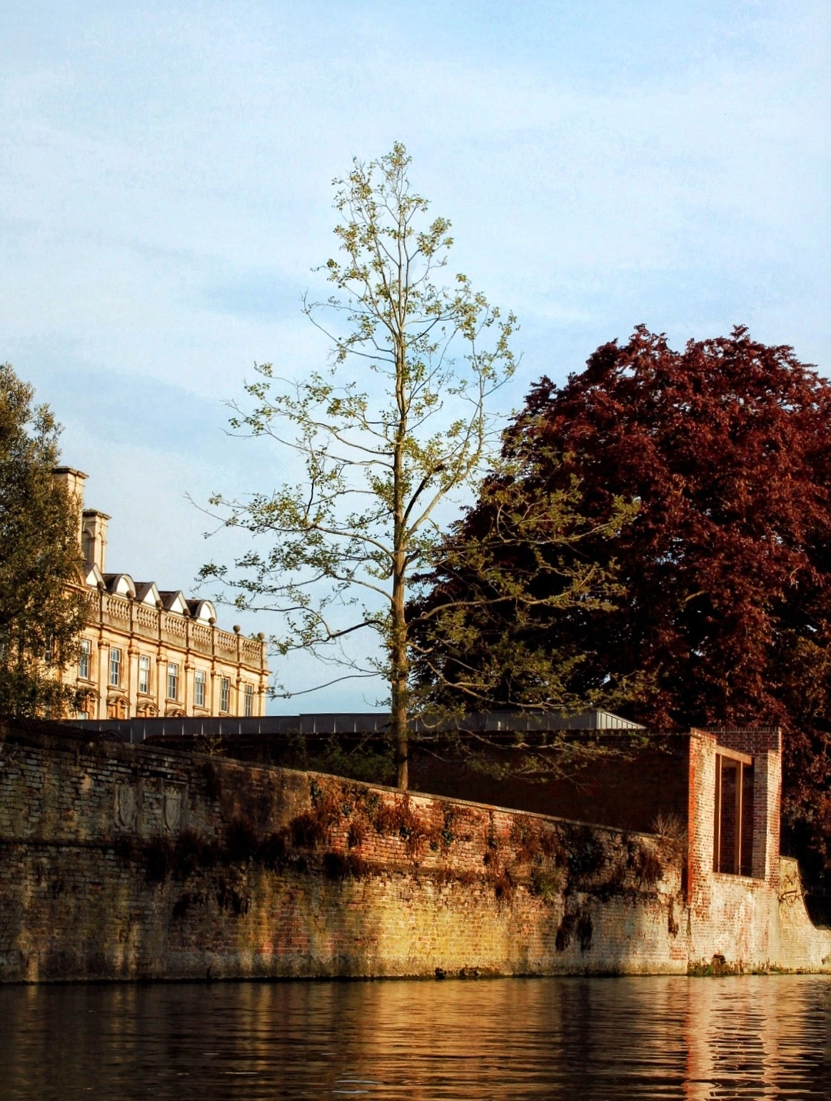 Cambridge 5